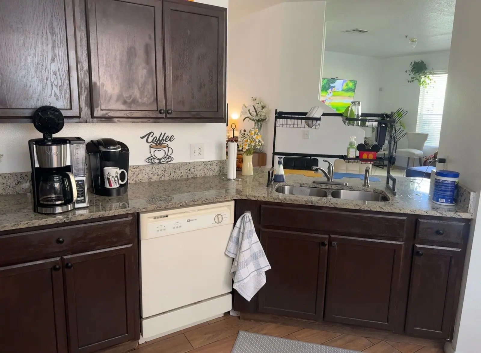Espresso cabinets around the sink before painting